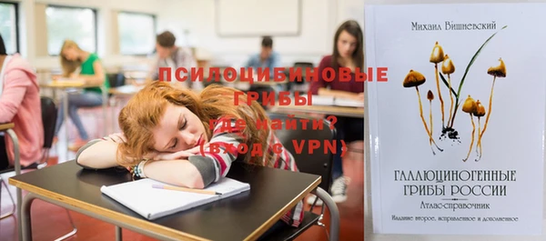 хмурый Белоозёрский