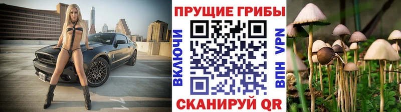 Псилоцибиновые грибы мицелий Приволжск