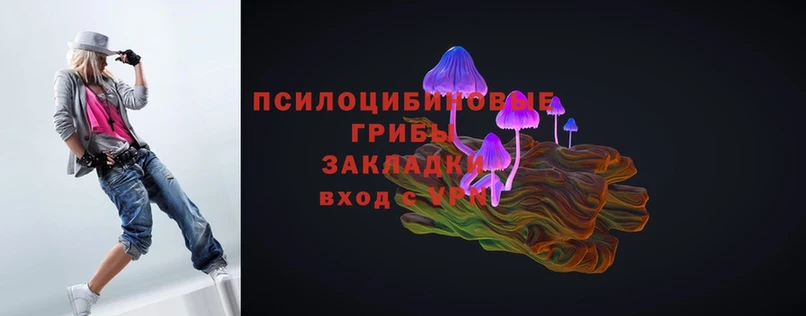 наркотики  Приволжск  Псилоцибиновые грибы Magic Shrooms 